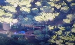 Balıkesir'de cayrokopter ve İHA destekli operasyonda 123 düzensiz göçmen yakalandı