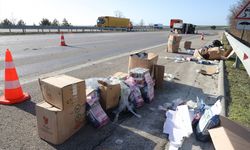 Edirne'de kamyonetlerin karıştığı kazada yola dökülen kedi ve köpek mamaları trafiği aksattı