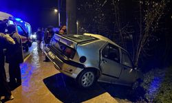 Sakarya'da direğe çarpan otomobildeki 4 kişi yaralandı