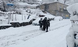 Şırnak'ta kar, sağanak ve sis hayatı olumsuz etkiledi