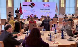 YÖK, Gastronomi Enstitüsü kuruyor
