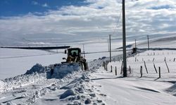 Bitlis ve Muş'ta 30 yerleşim birimine ulaşım sağlanamıyor