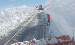 Çığ nedeniyle kapanan Hakkari-Şırnak kara yolu açıldı