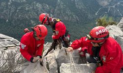 Fethiye'de kayalıklarda mahsur kalan keçi ile yavrusu kurtarıldı