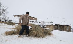 Hakkari'de etkili olan kar, hayvanlarını köylere indiren besicilerin işini zorlaştırdı