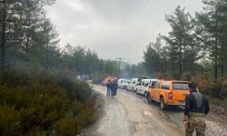 Muğla'da mantar toplamak için gittiği ormanlık alanda kaybolan kişi 9 gündür aranıyor