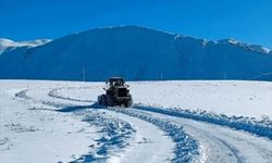 Van, Hakkari, Bitlis ve Muş'ta kar nedeniyle 80 yerleşim birimine ulaşım sağlanamıyor