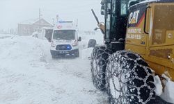 Van'da rahatsızlanan diyaliz hastası ekiplerin çalışmasıyla hastaneye ulaştırıldı