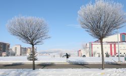 Erzurum, Kars, Ağrı, Ardahan ve Tunceli'de dondurucu soğuk etkisini sürdürüyor