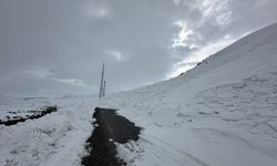 Van'da çığın düştüğü mezra yolu kapandı