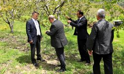 Bursa Büyükşehir’den zirai don mağduru çiftçiye destek