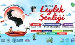 ‘Uluslararası Bursa Leylek Şenliği’ başlıyor