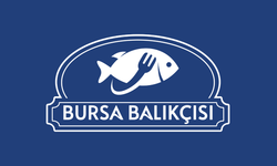 Bursa’da lokum gibi balık: Denizden tabağınıza gelen sanat