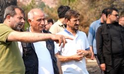 Gürsu’da milli ağaçlandırma gününde kampanya düzenlenecek