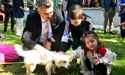 Yıldırım Belediyesi’nden şefkat yuvası