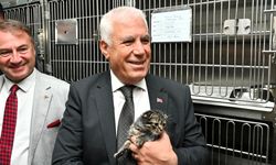 Bursa Büyükşehir patili dostların yanında