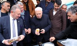 Bursa Büyükşehir'den dağ yöresine arı kovanı desteği