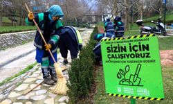 Bursa kışın da çiçek bahçesine dönüşüyor