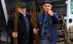 Bursa Büyükşehir’de üreticiye fidan ve tohum desteği