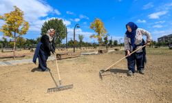 Osmangazi’nin yeşil dokusu güçleniyor