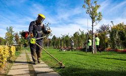 Büyükşehir’den park ve bahçelere düzenli bakım