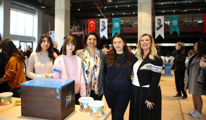 Eski oy sandıkları can dostlara yuva oldu