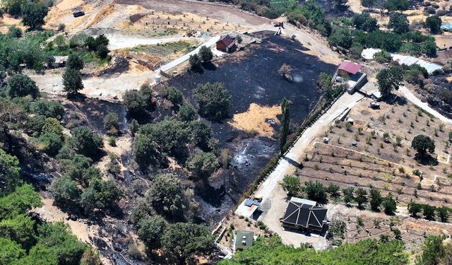 Ülke genelinde çıkan orman yangınlarına müdahale sürüyor