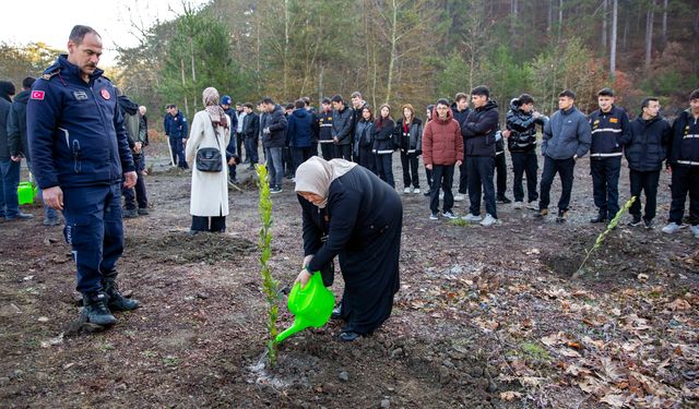 Bursa Büyükşehir’den kahraman itfaiyecilerin anısına hatıra ormanı