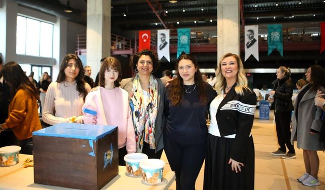 Eski oy sandıkları can dostlara yuva oldu
