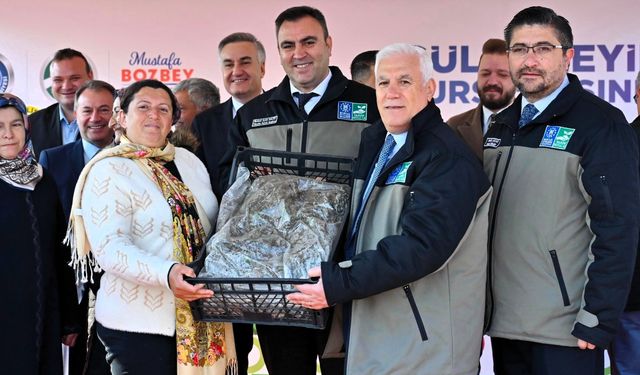 Bursa Büyükşehir’den çiftçiye 1 milyon 222 bin adet çilek fidesi
