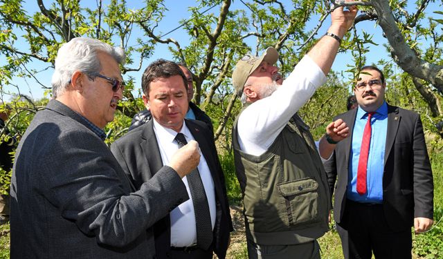 Başkan Aydın, zirai don mağduru çiftçileri yalnız bırakmadı