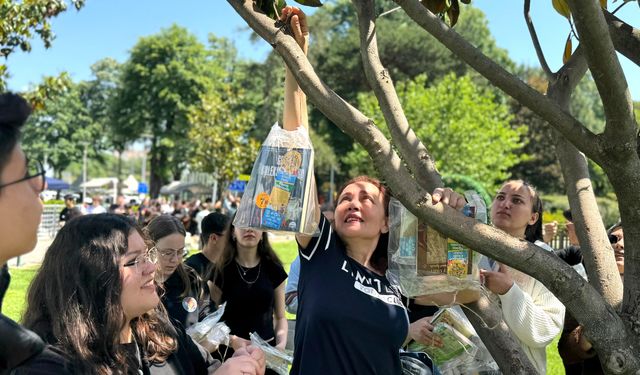 Bursa’da ağaçlar ‘kitap’ açtı