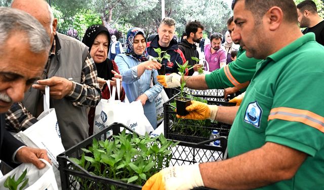 Yıldırım Belediyesi’nden 50 bin fide