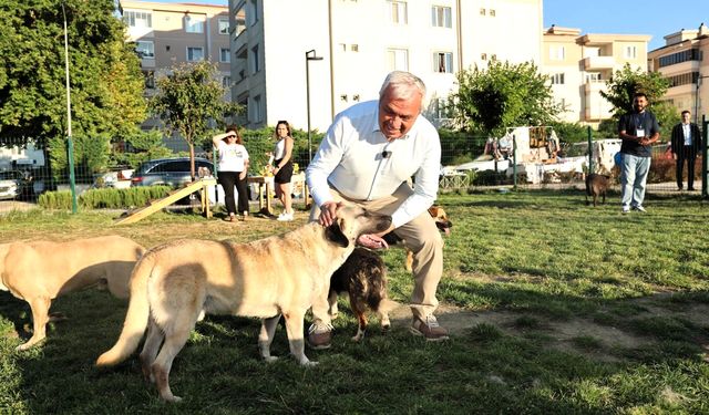 Nilüfer’de can dostlar yeni yuvalarına kavuştu