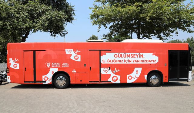 Büyükşehir, yangın bölgesindeki yaraları sarmaya başlıyor