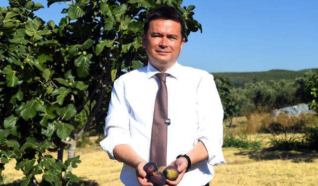 Osmangazi’den dünyaya açılan lezzet ‘Bursa Siyah İnciri’