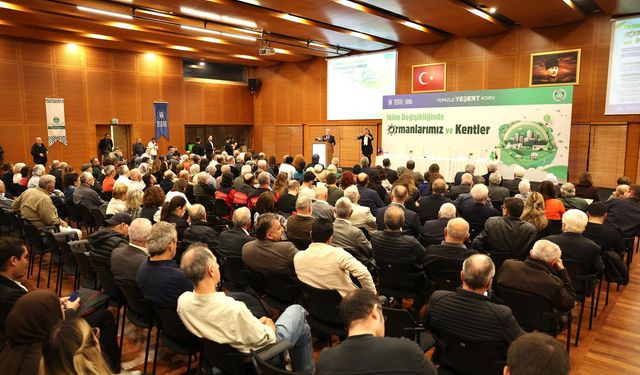 İklim krizi kentlerin geleceğini tehdit ediyor