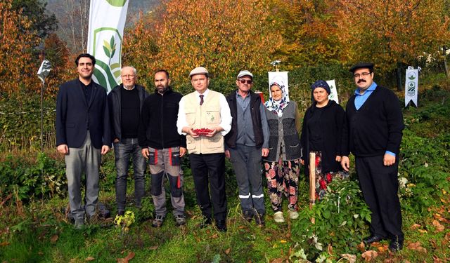 Osmangazi’de üzümsü meyvelerde organik tarım seferberliği