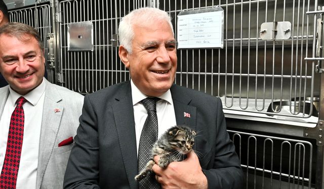 Bursa Büyükşehir patili dostların yanında