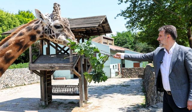 Başkan Vekili Biba’dan Hayvanat Bahçesi’ne ziyaret