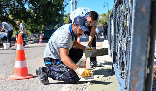 Büyükşehir'den Gölyazı'da kapsamlı bakım çalışması