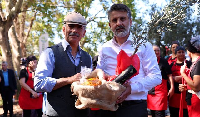 Bursa'nın zeytin mirası Gemlik ve Orhangazi'de yaşatılıyor