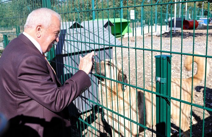 Nilüfer’de sahipsiz hayvanlara “Umut Ağacı”