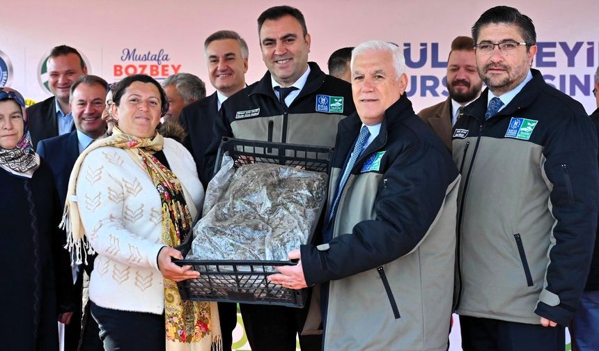 Bursa Büyükşehir’den çiftçiye 1 milyon 222 bin adet çilek fidesi