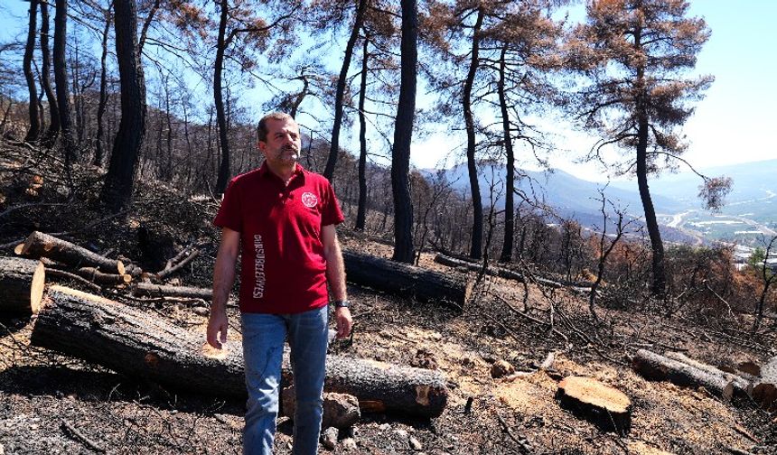 Başkan Işık: “Gürsu’da ilk fidanları Karahıdır’da dikeceğiz”