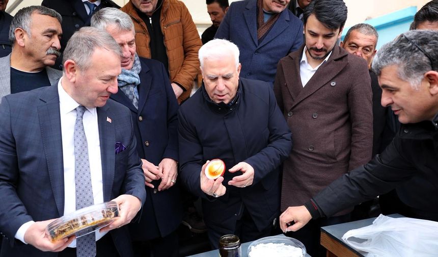 Bursa Büyükşehir'den dağ yöresine arı kovanı desteği