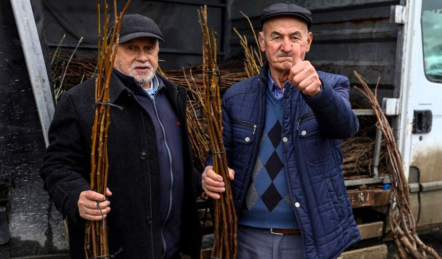 Bursa Büyükşehir’de üreticiye fidan ve tohum desteği