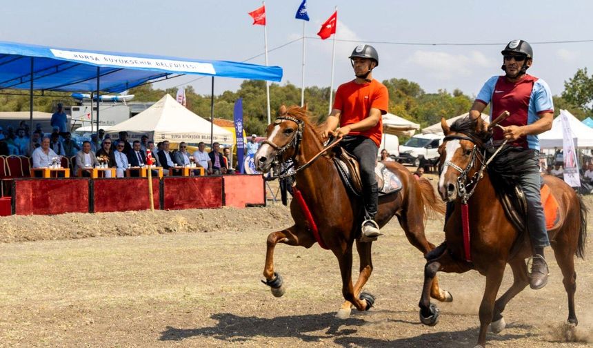 Bursa’da rahvan atları şampiyonluk için koştu