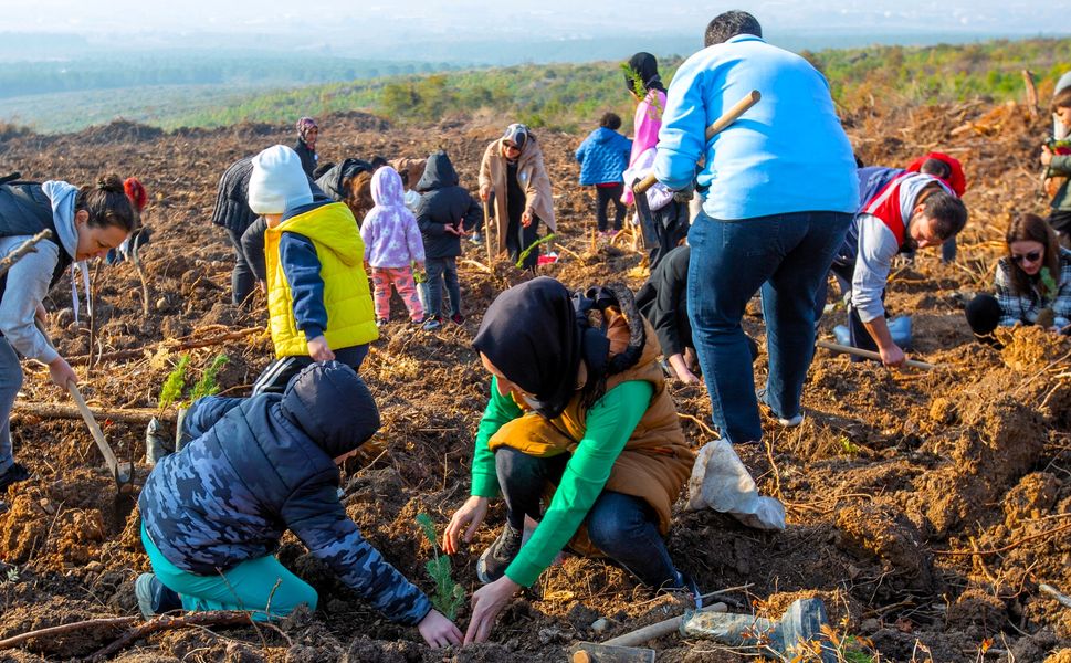 Diyabet hastalığına fidan dikerek dikkat çektiler