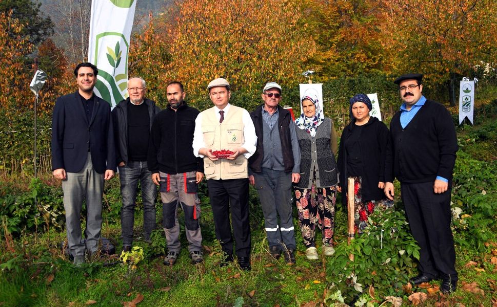 Osmangazi’de üzümsü meyvelerde organik tarım seferberliği